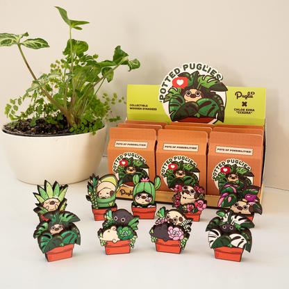 Potted Puglies Blind Box