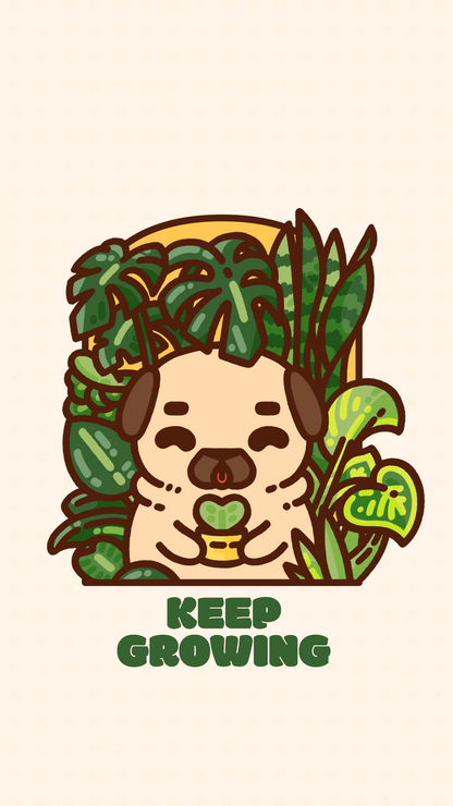 Homebody Puglie Wallpapers