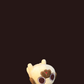 Puglie Plushie Wallpapers