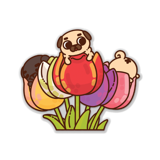 Tulip Trio Puglie Clear Sticker