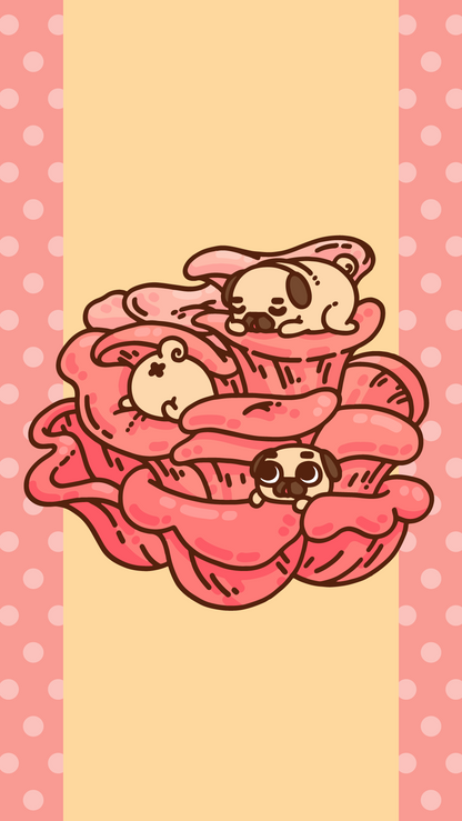 Mushroom Puglie Wallpapers